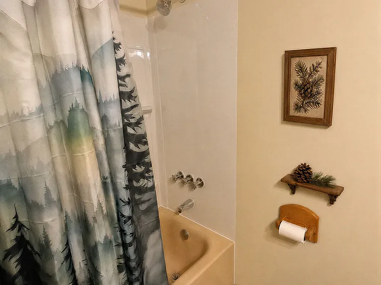 Guest Bath
