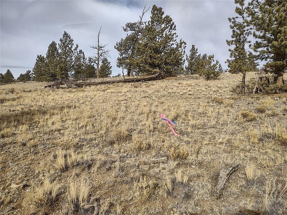 1st image of 829 Grand Teton Dr