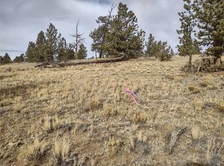 829 Grand Teton Dr, Hartsel, CO 80449