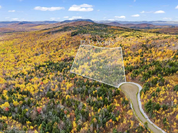Lot 13 Moose Alley Road, Temple, ME 04984