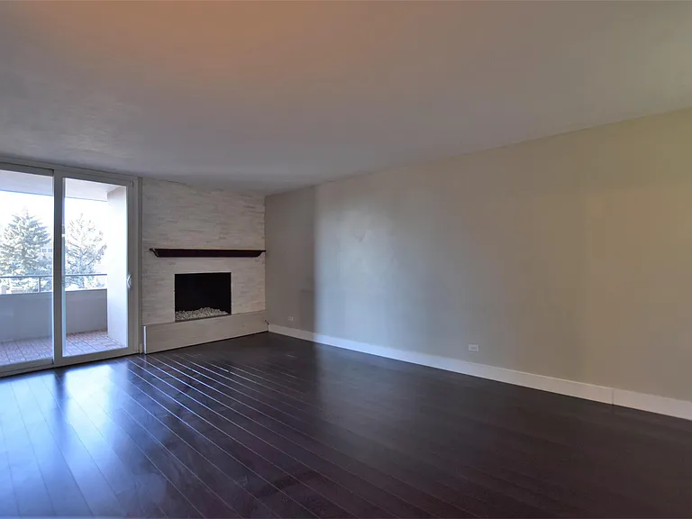 1313 N Williams St #501-1 — Photo 8