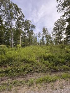 0 Old Lockhart Rd, Tennessee Ridge, TN, 37178