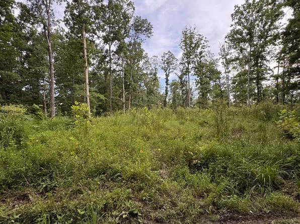 0 Old Lockhart Rd, Tennessee Ridge, TN 37178