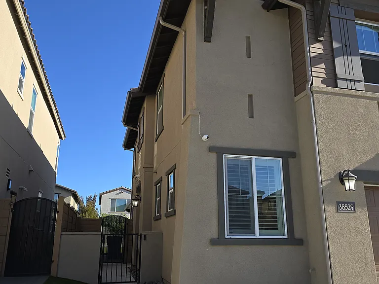 38529 Rosegate Pl — Photo 8