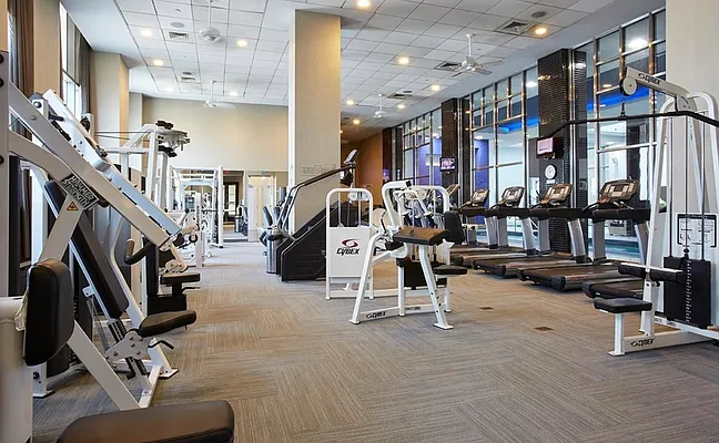 Rented by Douglas Elliman | media 7