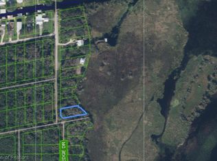 601 Lakesedge Dr, Lake Placid, FL 33852