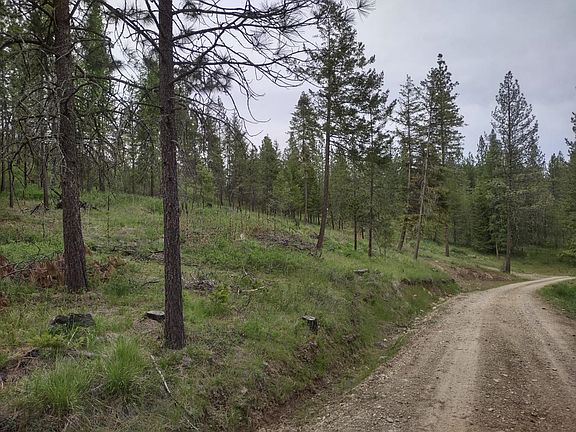3rd image of E Jump Off Joe Rd #125 acres