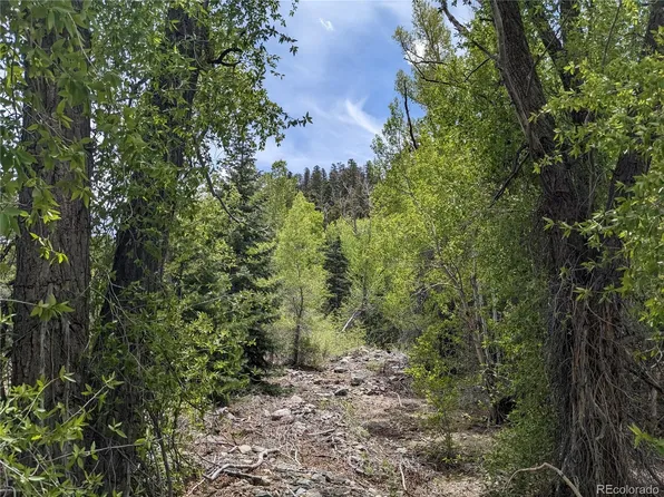 5475 Joy Road, Fort Garland, CO 81133