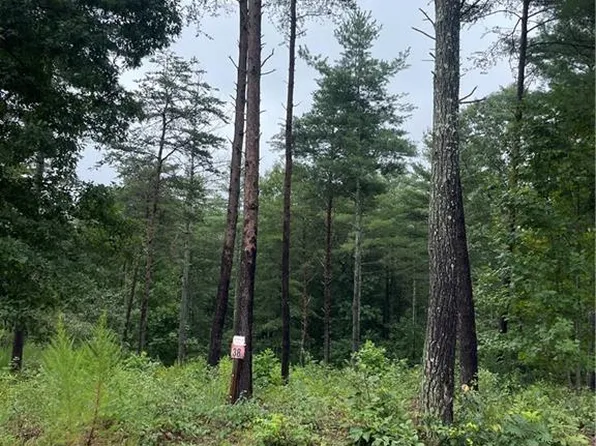 3146 Bear Paw Ave NW #38, Valdese, NC 28690