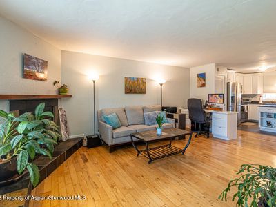1387 Barber Dr, Carbondale, CO, 81623