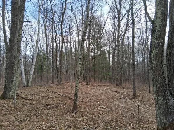 3 Pierce Homestead Rd, Trego, WI 54888