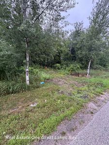 0 Huron Rd N, Pinconning, MI, 48650
