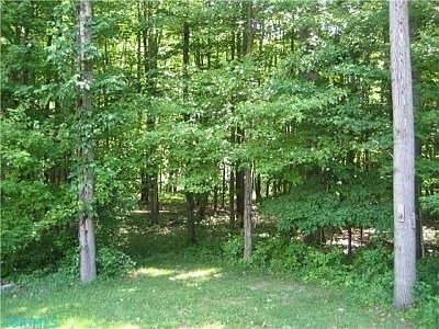 5th image of 524 Floral Valley Dr W