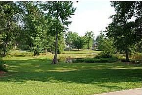 Rear Yard