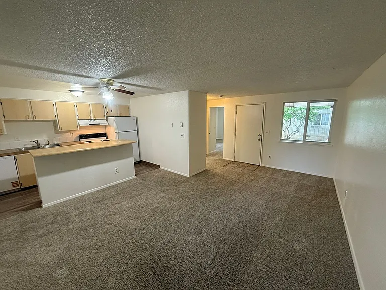 The Firs Apartments — Photo 35