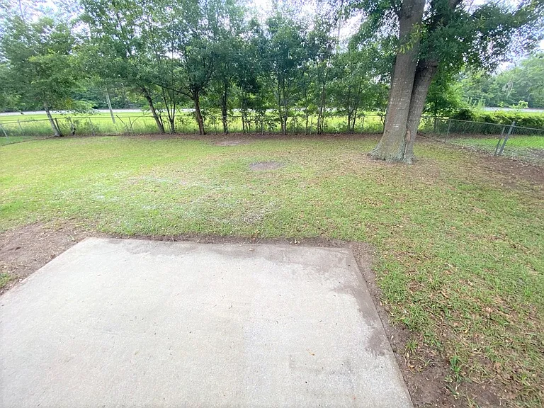 Back Yard_06092023