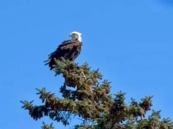 4th image of 131 McKinley St