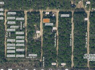 424 Chris Ave #20, Interlachen, FL 32148