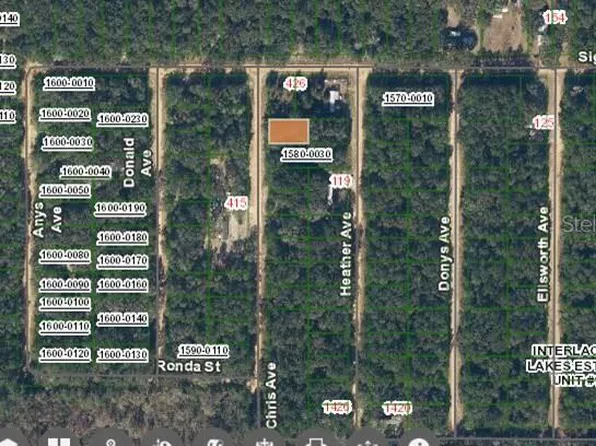 424 Chris Ave #20, Interlachen, FL 32148