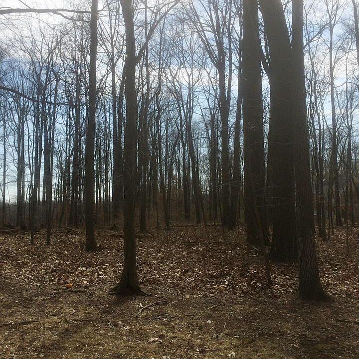 16501 Batson Rd, Spencerville, MD 20868 Zillow