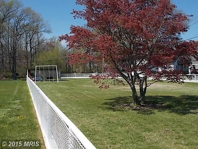 This red maple tree sits perfectly to the side!