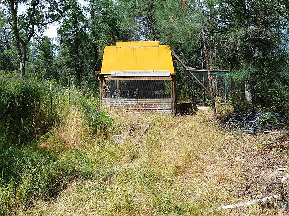 3rd image of 4 Nine Acres Squaw Grass Trl