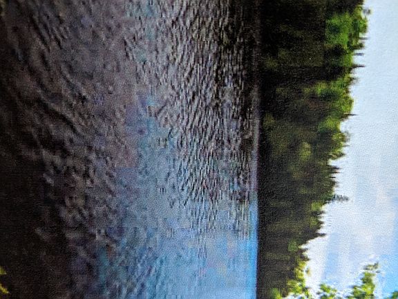 View from shore