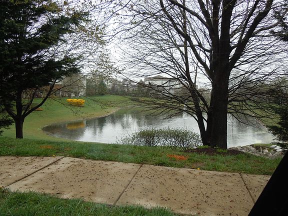 Pond 2 houses away
