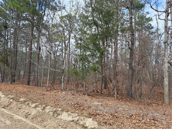 1 Ripley Ct, Elloree, SC 29047