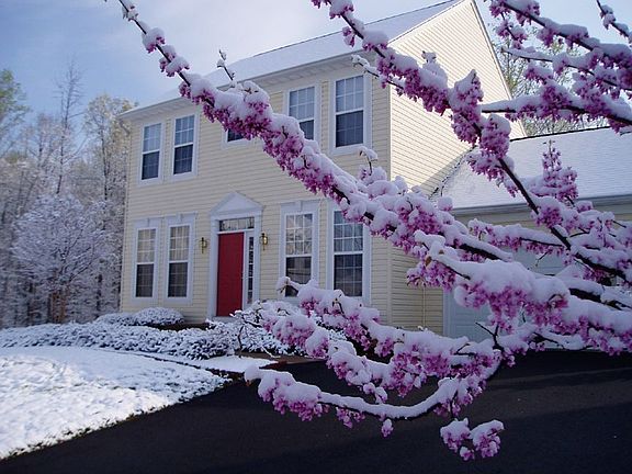 Winter View