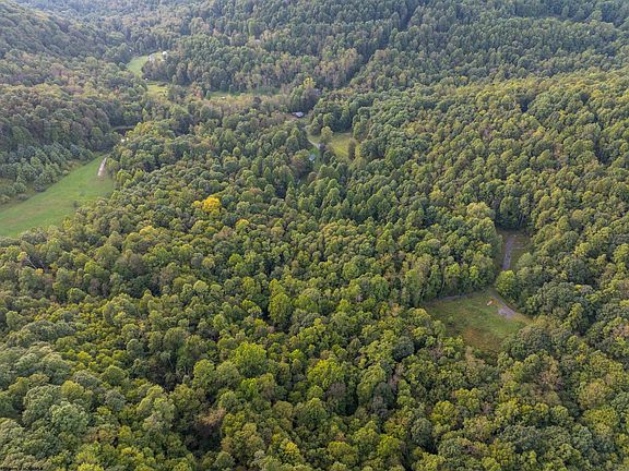 3rd image of LOT 1 Deep Hollow Rd