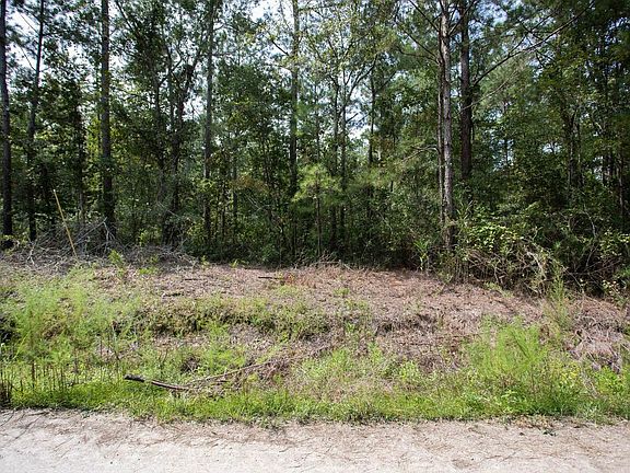 2nd image of 12.66 Ac Diamondback Trail