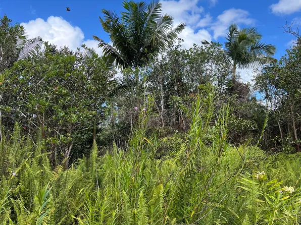 Road 10 Poouli Lot 5789, Kurtistown, HI 96760