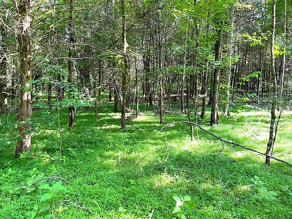4th image of LOT 1027 Mountain View Ln