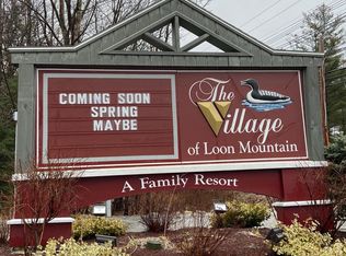 41 Whaleback Rd #4, Lincoln, NH 03251