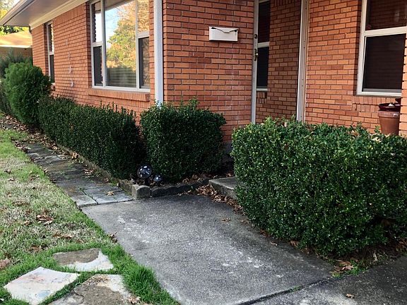 2nd image of 1206 W Lavender Ln