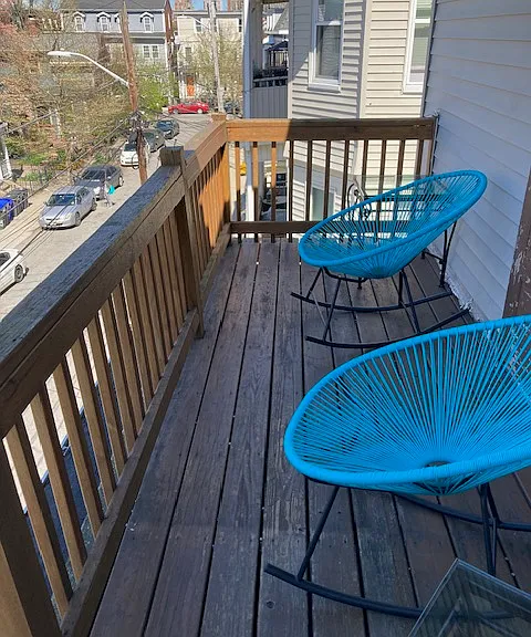 Terrace (1 year old)