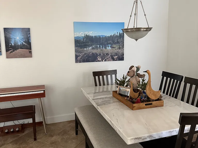 971 Peach Blossom Way — Photo 2