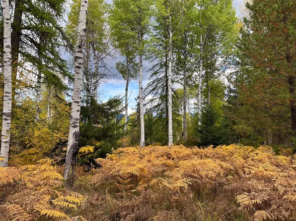 Nhn Klister Ln, Trout Creek, MT 59874