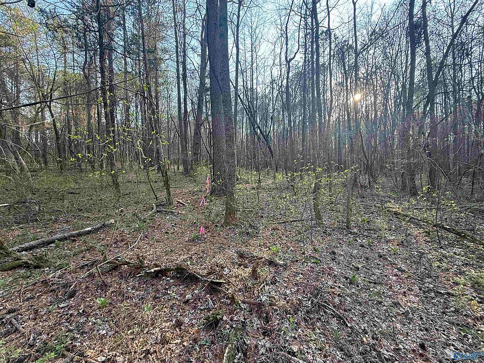 1st image of Carters Gin Rd