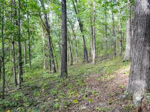 0 S 2251st Rd, Humansville, MO 65674