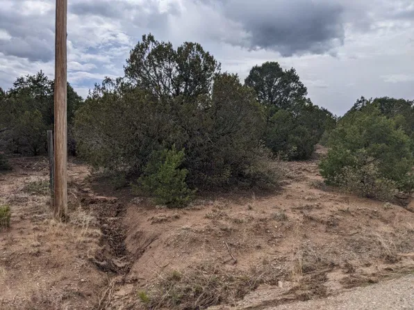 22 William Bonney Rd, Edgewood, NM 87015