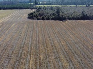 0 Pw Clifton Rd, Brooklet, GA 30415