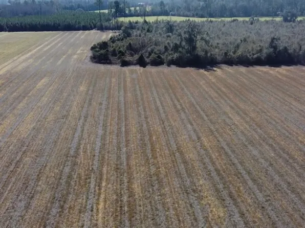 0 Pw Clifton Rd, Brooklet, GA 30415