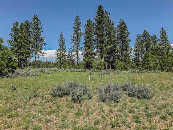 5th image of 8 Targhee Ct