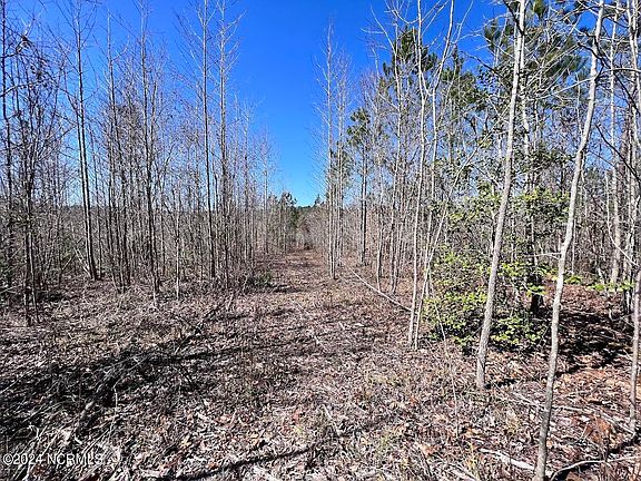 4th image of 05 Warren Woods Lane