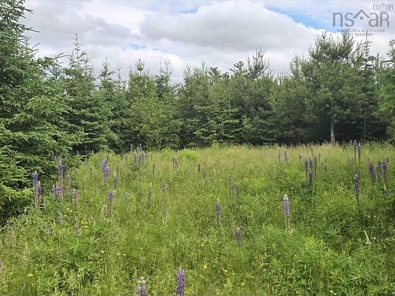 4th image of 41 Brule Shore Rd Lot 6