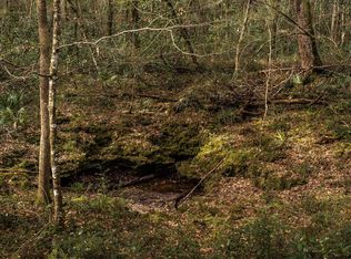 SW Ichetucknee Ave, Fort White, FL 32038