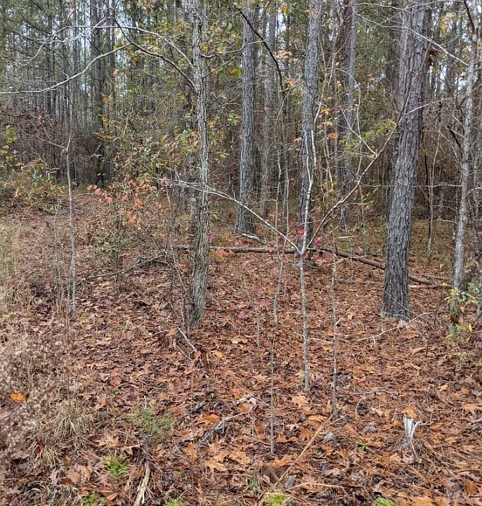 1st image of 0 Chattahoochee Farms Dr #4