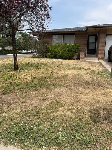 1600 Azalea Dr Photo 1